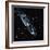 Andromeda Galaxy-Stocktrek-Framed Photographic Print