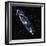 Andromeda Galaxy-Stocktrek-Framed Photographic Print