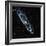 Andromeda Galaxy-Stocktrek-Framed Photographic Print