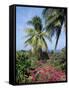 Andromeda Gardens, Near Bathsheba, Barbados, West Indies, Caribbean, Central America-Hans Peter Merten-Framed Stretched Canvas