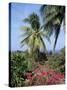 Andromeda Gardens, Near Bathsheba, Barbados, West Indies, Caribbean, Central America-Hans Peter Merten-Stretched Canvas