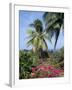 Andromeda Gardens, Near Bathsheba, Barbados, West Indies, Caribbean, Central America-Hans Peter Merten-Framed Photographic Print