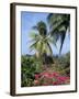 Andromeda Gardens, Near Bathsheba, Barbados, West Indies, Caribbean, Central America-Hans Peter Merten-Framed Photographic Print