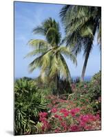 Andromeda Gardens, Near Bathsheba, Barbados, West Indies, Caribbean, Central America-Hans Peter Merten-Mounted Photographic Print