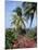 Andromeda Gardens, Near Bathsheba, Barbados, West Indies, Caribbean, Central America-Hans Peter Merten-Mounted Photographic Print