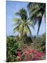 Andromeda Gardens, Near Bathsheba, Barbados, West Indies, Caribbean, Central America-Hans Peter Merten-Mounted Photographic Print