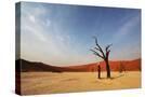 Stretched Canvas