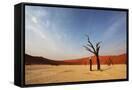 Canvas Black