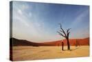 Stretched Canvas
