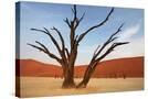 Stretched Canvas