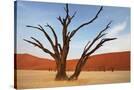 Stretched Canvas