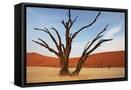 Framed Canvas