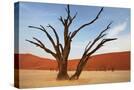 Stretched Canvas