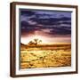 Brown Frame