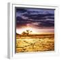 White Frame