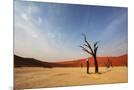 Wood Mount
