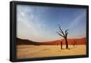 Essential Black