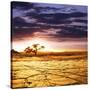 Stretched Canvas