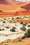 Dead Valley in Namibia-Andrushko Galyna-Photographic Print