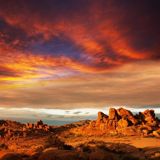 Premium Photographic Print, , large