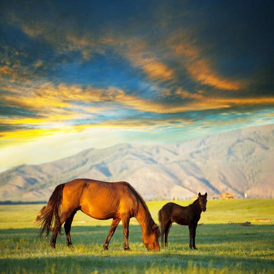 Photographic Print, , large