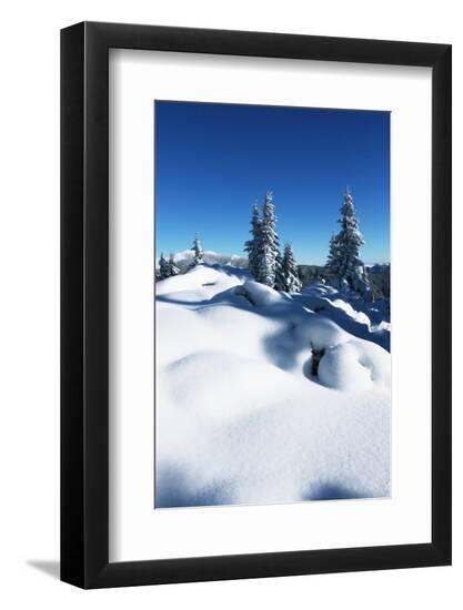Premium Photographic Print, , large