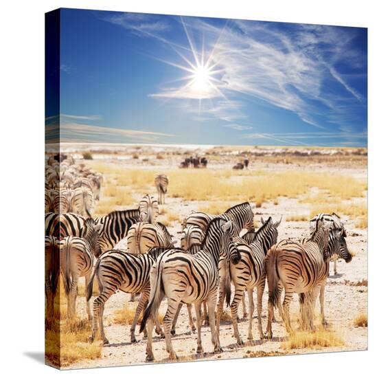 Stretched Canvas Print, , large