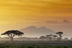 Beautiful Sunset in Kenya 03-Andrzej Kubik-Photographic Print