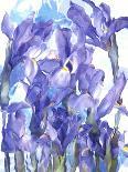 Flowers-Andrzej Pluta-Laminated Giclee Print