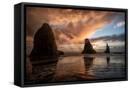 Canvas Black