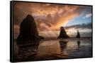 Canvas Black