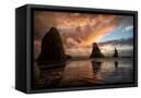 Canvas Black