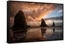 Canvas Black
