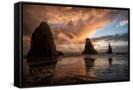 Canvas Black
