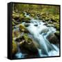 Canvas Black