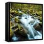 Canvas Black