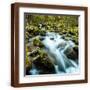Brown Frame