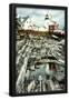 Essential Black