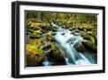 Black Frame