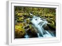 White Frame