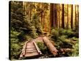 Stretched Canvas