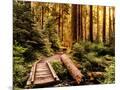 Wood Mount