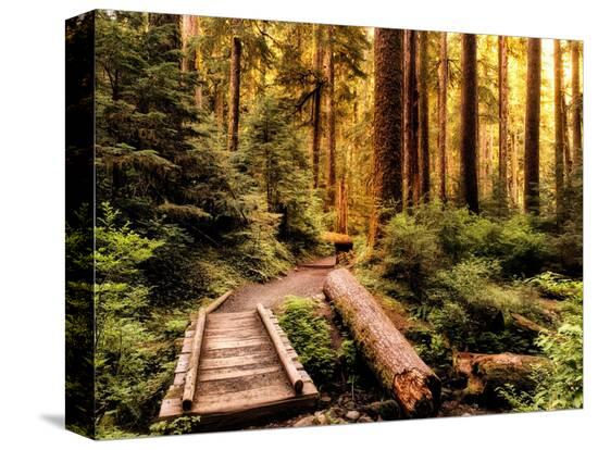 Stretched Canvas Print, , large