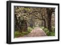 Black Frame