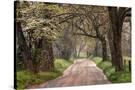 Stretched Canvas