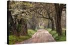 Stretched Canvas