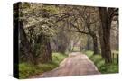 Stretched Canvas