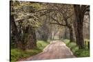 Stretched Canvas