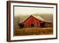 Brown Frame