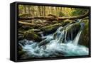 Canvas Black
